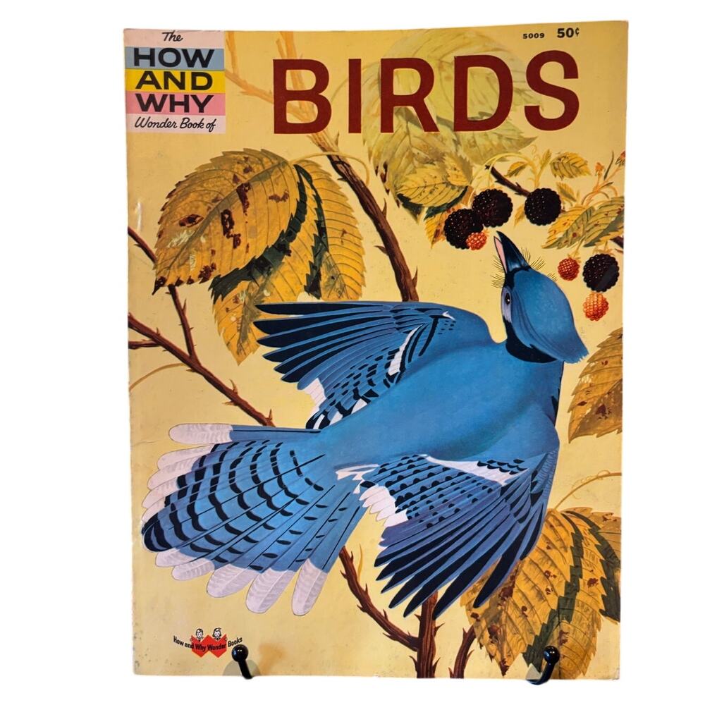 VTG 1st Ed. 1960 How and Why Wonder Book of Birds 5009, PB